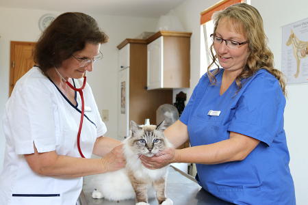 Tierarztpraxis Hof Langental - Dr. Pia Maslo