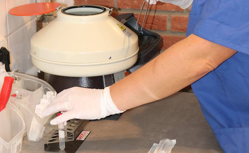 Tierarztpraxis Hof Langental - Uslar